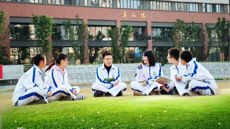 芯片尺寸规格：行业标准解析与选购要点